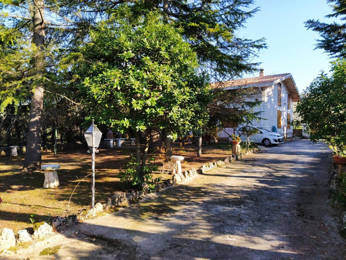 La Casa Di Anna Nel Parco Della Majella Abruzzo Rapino Ch别墅 外观 照片